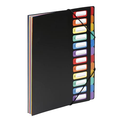 Viquel - Trieur extensible A4 12 compartiments RAINBOW CLASS – Organisateur de documents bureau & maison – Classeur accordéon résistant – Rangement factures, papiers, scolaire – Noir